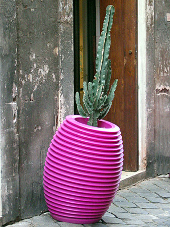 Originale vaso per piante grasse