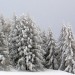 Abbondante nevicata sulle Dolomiti