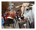 Spedisci la cartolina "Palio di Siena: i buoi del Carroccio"