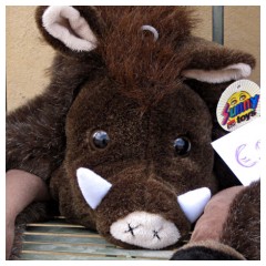 Un cinghiale in attesa di essere comprato