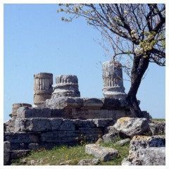 Paestum, i resti di un tempio