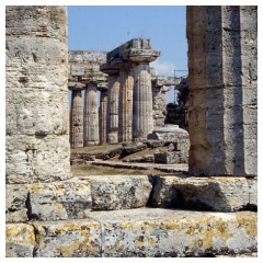 Paestum: colonne tra le colonne