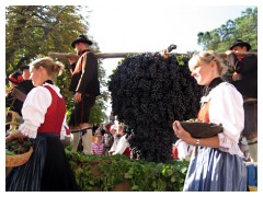 La tradizionale festa dell'uva a Merano