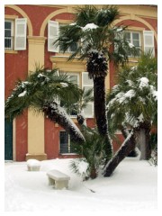 Nevicata a Genova