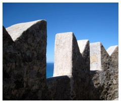 I merli del castello di Populonia