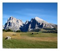 Spedisci la cartolina "Alpe di Siusi: Sassolungo e Sassopiatto"