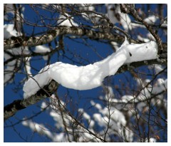 Salsicciotto di neve