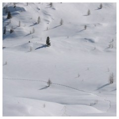 Passeggiata sulla neve