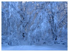 Nevicata a Campo Felice