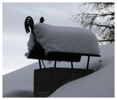 Galletto segna neve