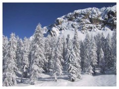 Montagna d'inverno