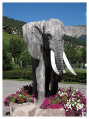 Un elefante sulle Dolomiti