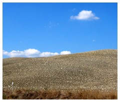 Il prato di windows xp