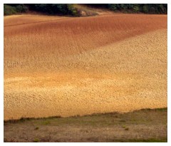 Il colori della terra