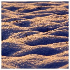 Onde di neve