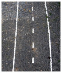 Pista ciclabile lungo il Tevere