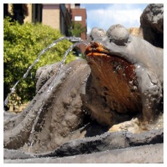 Un rana nella fontana