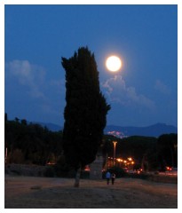 Luna piena al Circo Massimo