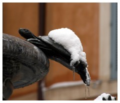 Neve sulla Fontana delle tartarughe