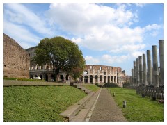 Il Colosseo dal Foro Romano