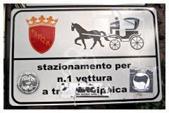 Stazionamento vettura a trazione ippica