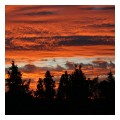 Spedisci la cartolina "Le nuvole nel cielo al tramonto"