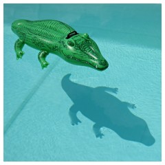 Aiuto, un coccodrillo in piscina!!!