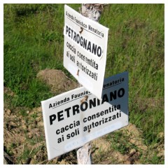 Petrognano o Petroniano?