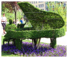 Il pianista sul Passirio