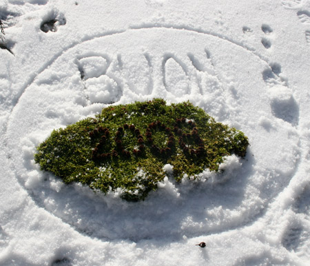 Tantissimi Auguri di Buon Anno per il 2008