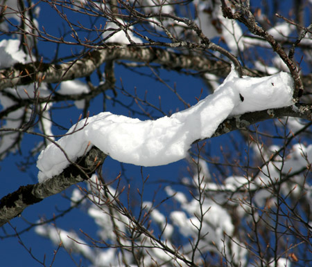 Salsicciotto di neve