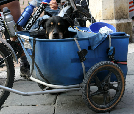 In bicicletta con il cane