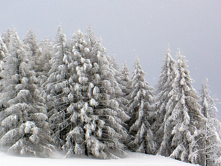 Abbondante nevicata sulle Dolomiti