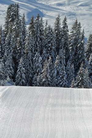 Alpe di siusi, piste pronte per l'apertura