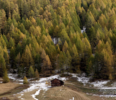 Arriva l'autunno a Livigno