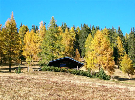 Siamo proprio in autunno