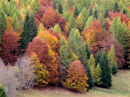 Autunno dolomitico