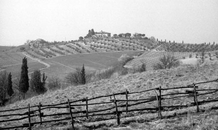 Colline toscane