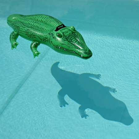 Aiuto, un coccodrillo in piscina!!!