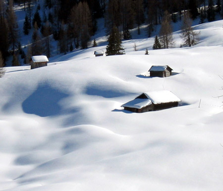 Distesa di neve incontaminata