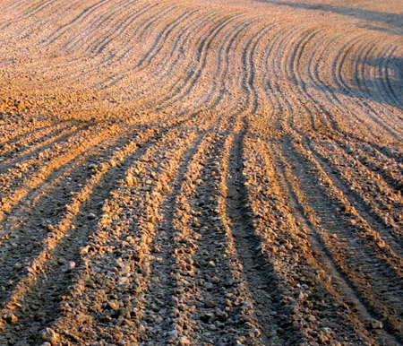 Ondulazioni del terreno