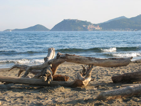 Feniglia: legni portati dal mare