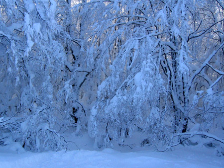 Nevicata a Campo Felice