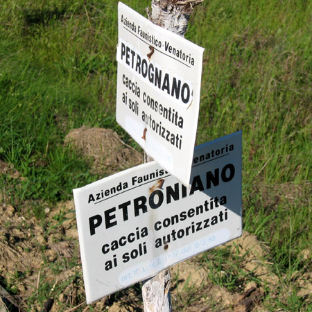 Petrognano o Petroniano?
