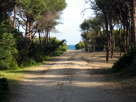 E in fondo il mare