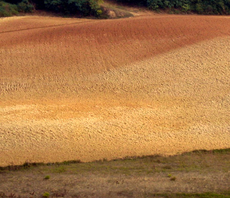 Il colori della terra