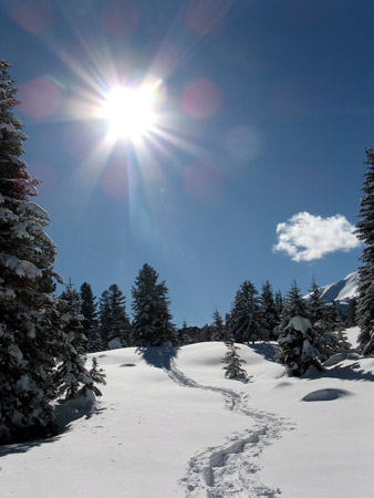 Godersi una giornata di sole in montagna