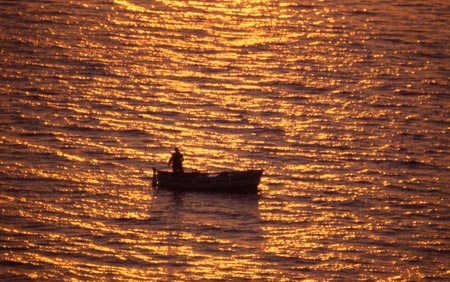 Navigando sulla scia del sole