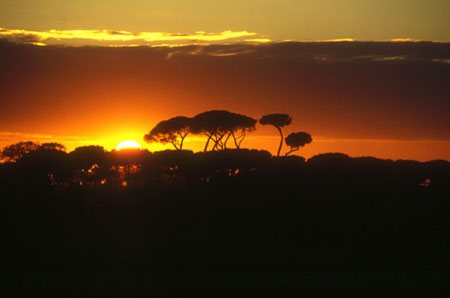 Tramonto su Villa Pamphili