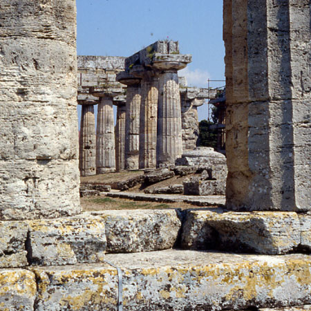 Paestum: colonne tra le colonne